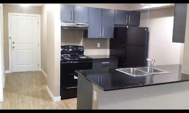 2 Bed 1 Bath Condo F...