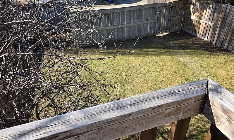 Pet Friendly - 3 Bed...