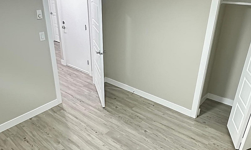 Two Bedroom Basement...