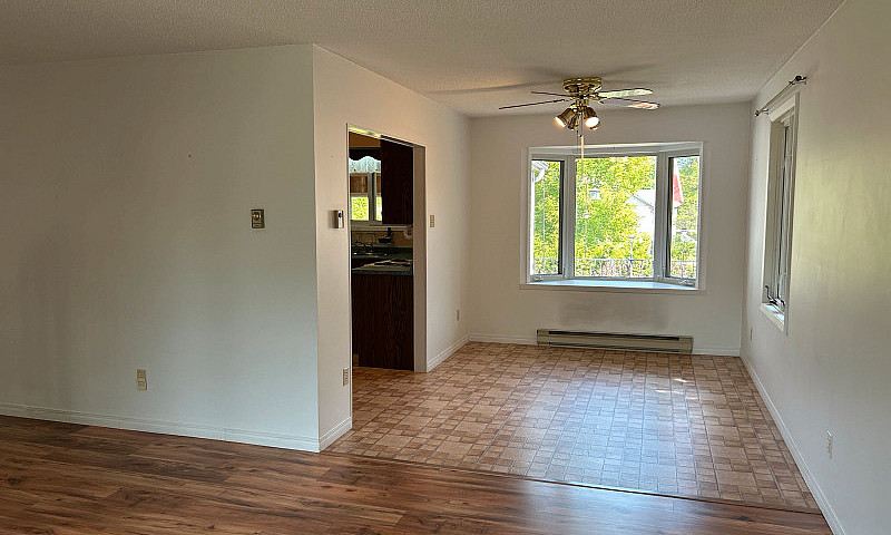 Pine Falls- 3+1 Bed ...