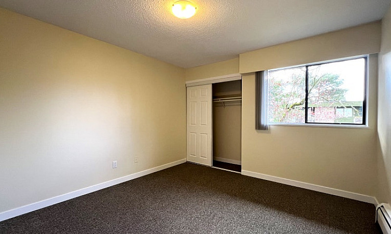 Rental Incentive! Re...