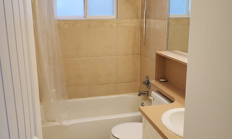 Newly Renovated & Cl...
