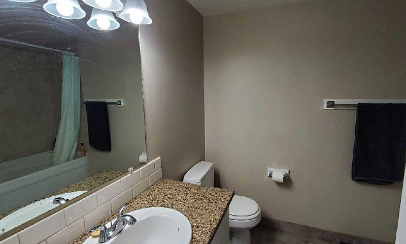 Newly Renovated Apar...