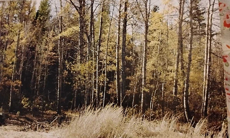 Land For Sale ...