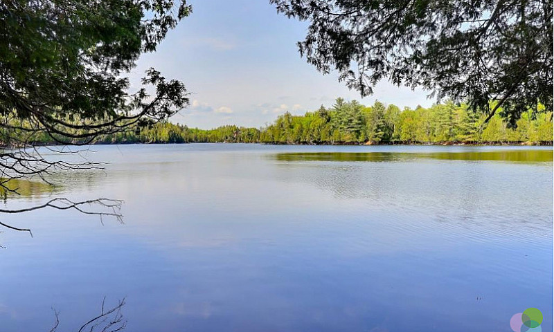 ( Rare ) 150 Acres W...