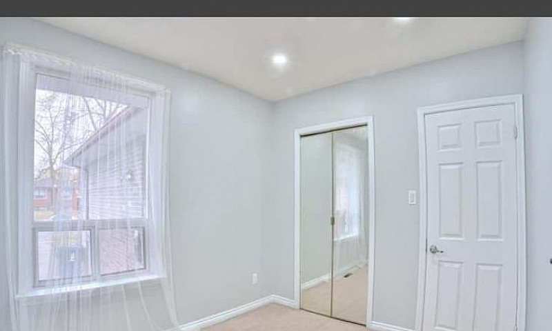 3 Bed 1 Bath Main Fl...