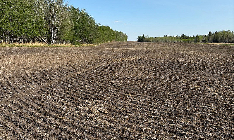 Farm For Sale...