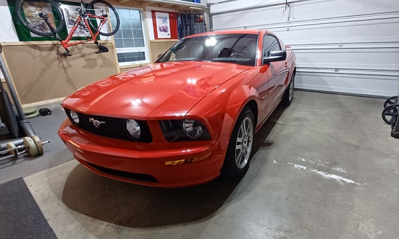 2005 Mustang Gt...