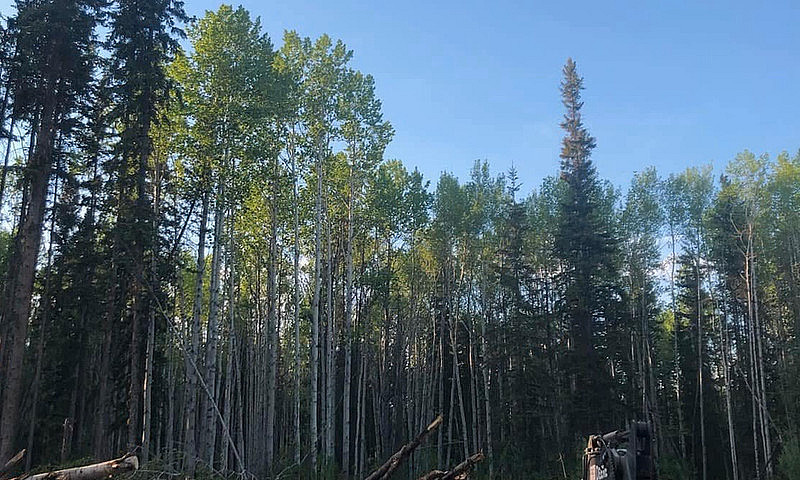5.1 Acres Near Stuar...