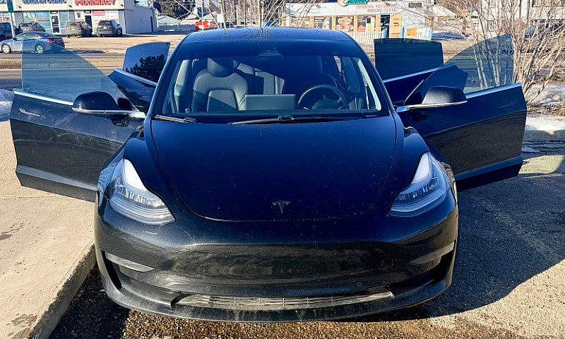 2019 Tesla Model 3 S...