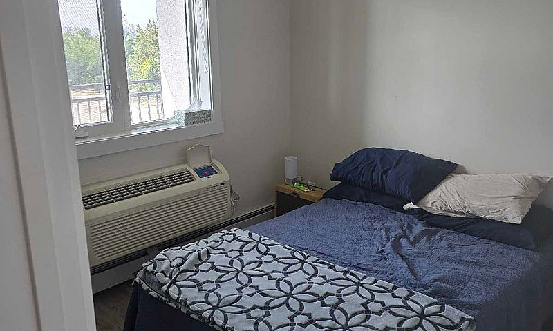 1 Bedroom Apartment ...