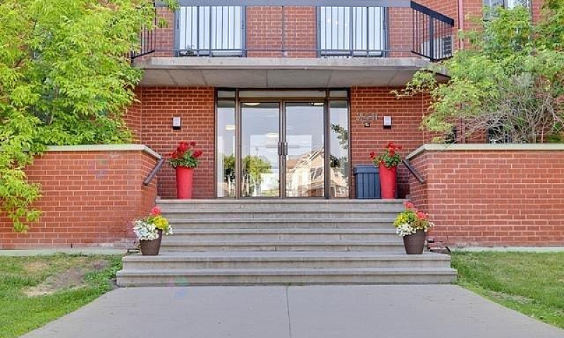 240 Maisonneuve – Gr...