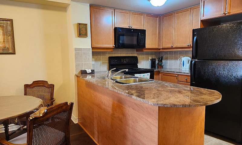 Furnished Luxury Con...