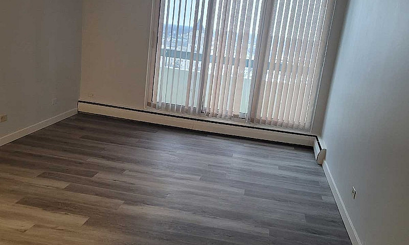 Apartment For Rent- ...
