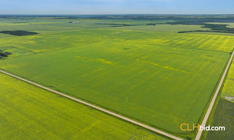 480 Acres Farm Land ...