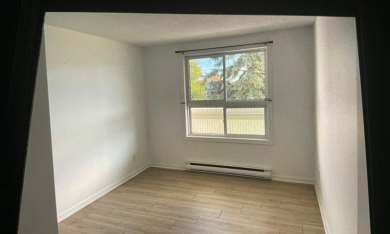 Logement À Louer 3 1...