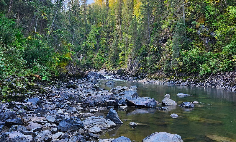 Cottonwood River Gol...