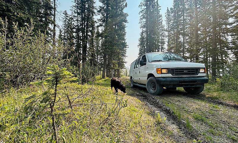 2007 Ford E-250 | Ne...