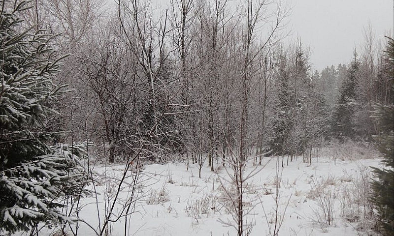 Miramichi, Beautiful...