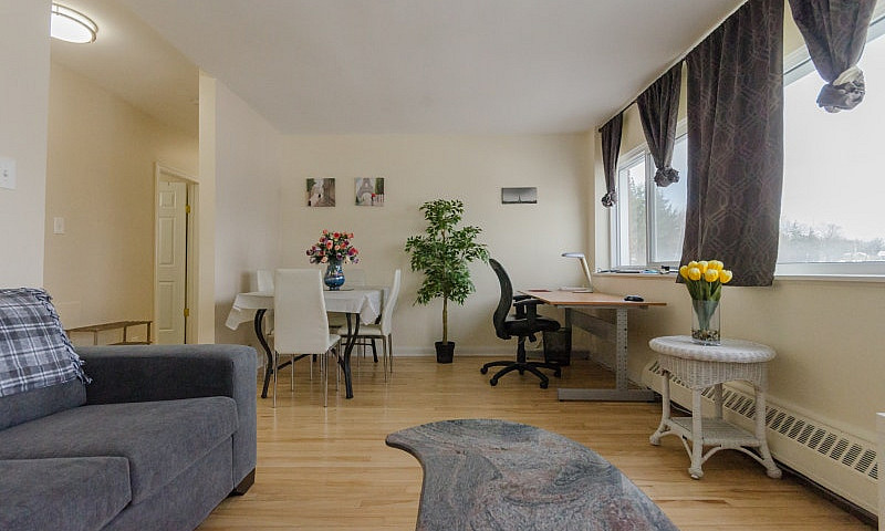 Executive 1-Br Suite...