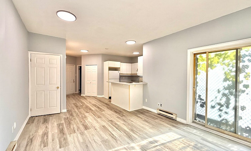 2 Bed 1 Bath Unit By...