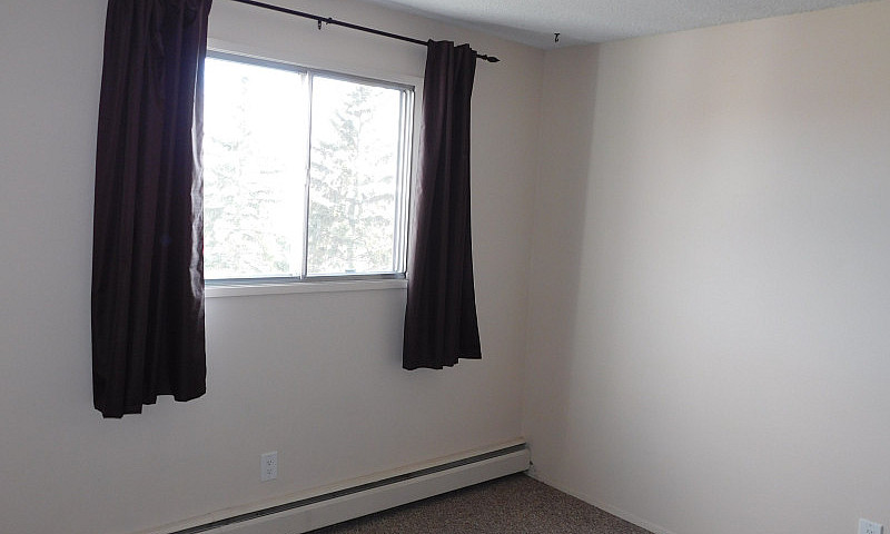 1 Bedroom Apartment ...