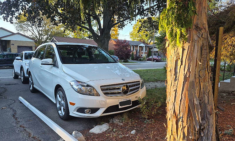2014 Mercedes B250 F...