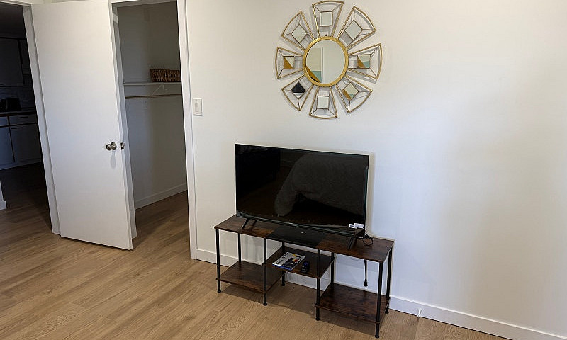 1 Bedroom Apartment ...