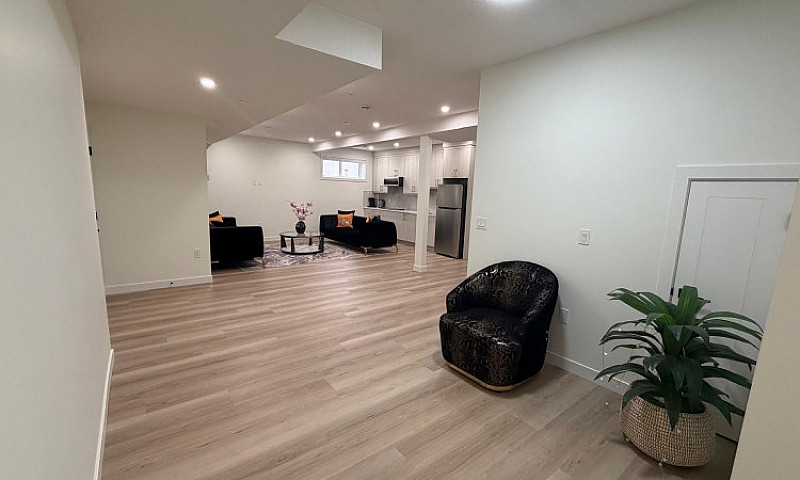 Modern Basement Apar...