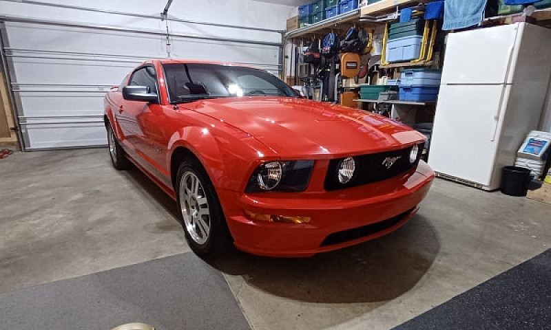 2005 Mustang Gt...