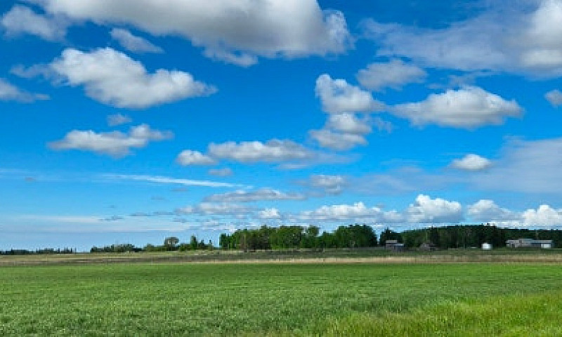 80 Acres With House ...