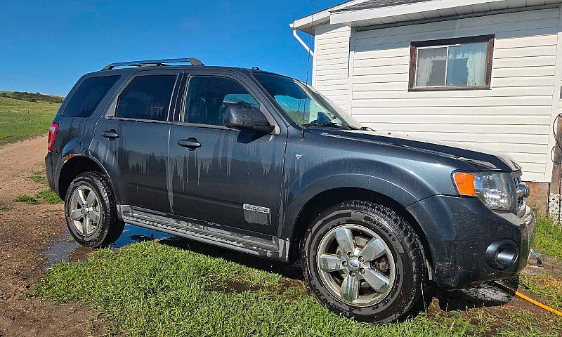 2008 Ford Escape Lim...