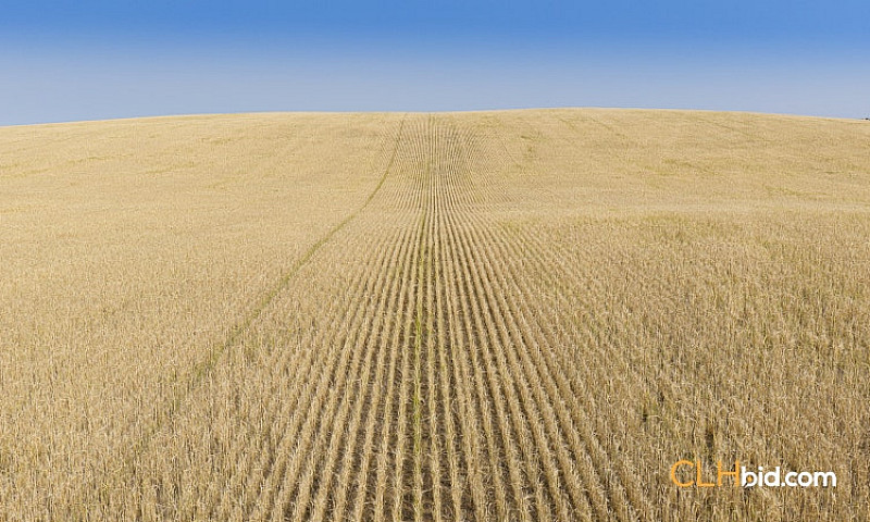 1,116 Acres Farm Lan...