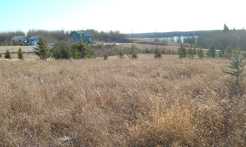Lac Sante Hills Lake...