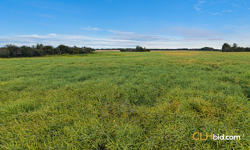 150 Acres Farm Land ...
