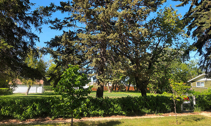 Beautiful Double Lot...
