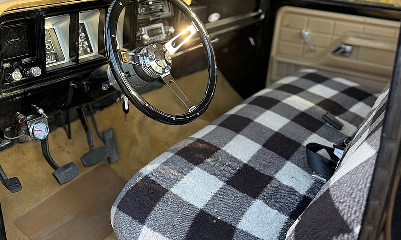 1979 Ford F-100 *New...