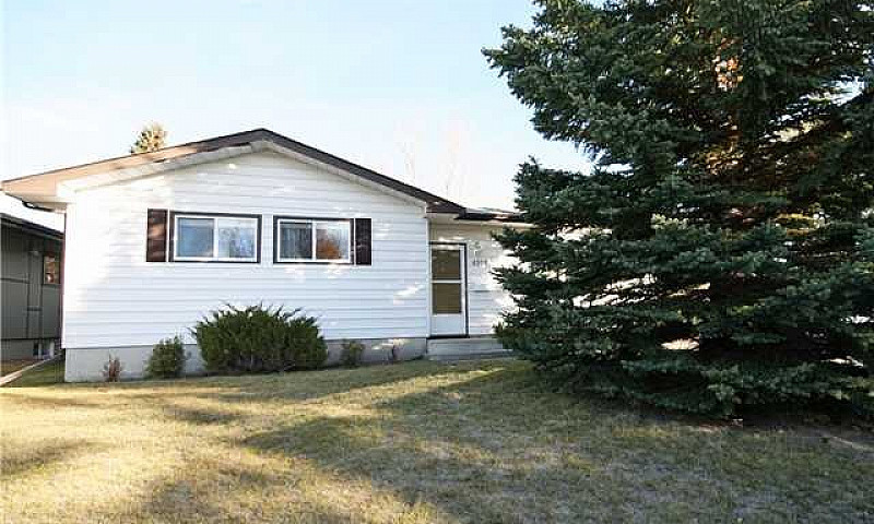 Large 2 Bed. Basemen...