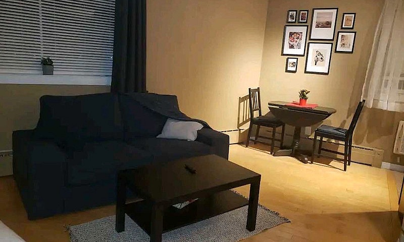 Elegant Furnished St...