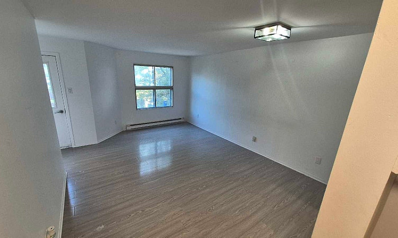 Bright Renovated 1Br...