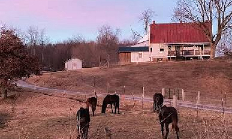 Farm Wanted ...
