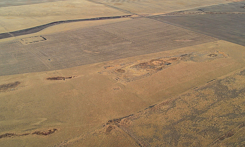 Section Of Pasture I...