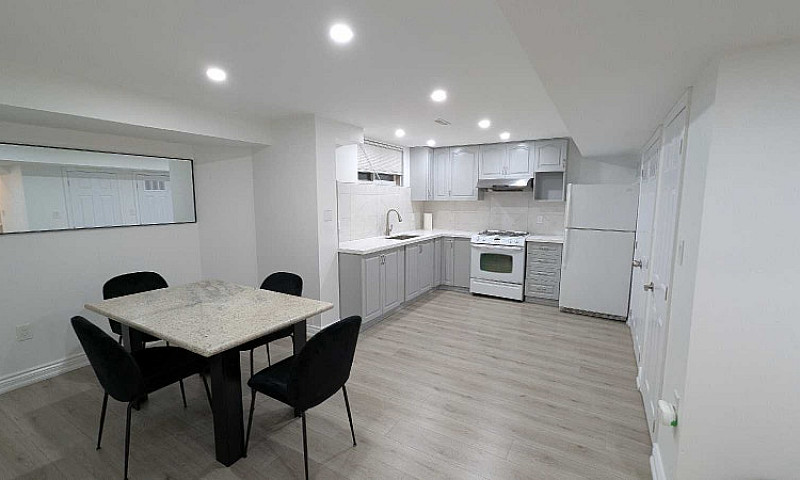 Newly Renovated 1 Be...