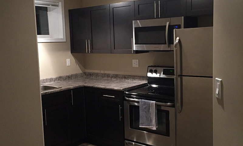 Basement Suite (1 Be...