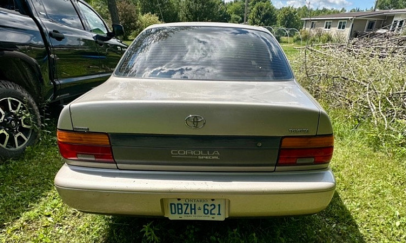 1994 Corolla & 1986 ...
