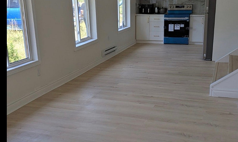  Fully Renovated Hou...