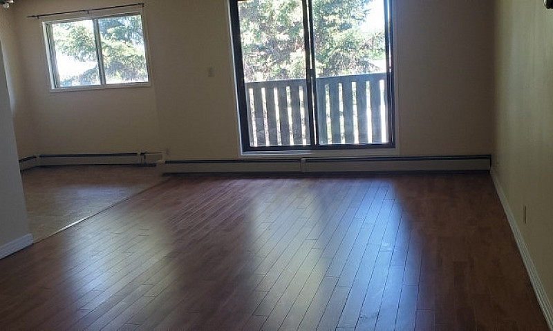 Three Bedroom Apartm...