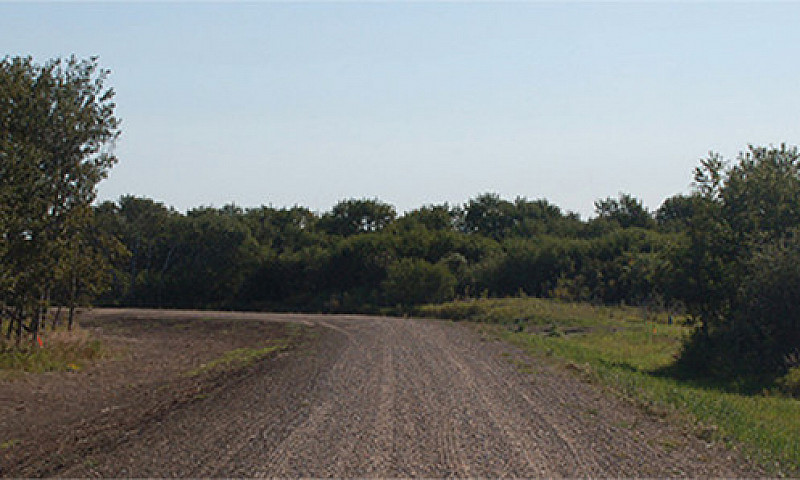 Bluebird Way Country...