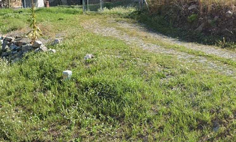 Little Property With...