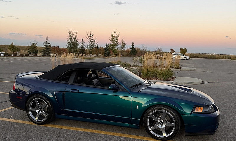 2004 Ford Mustang Co...